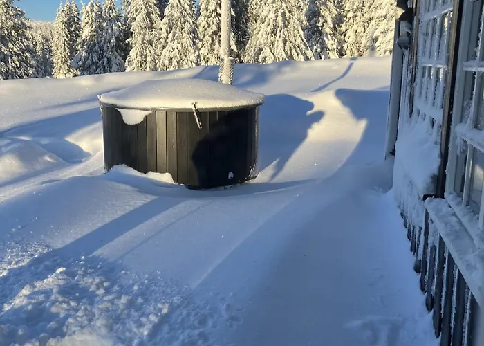 Mountain In * Λιλεχάμερ