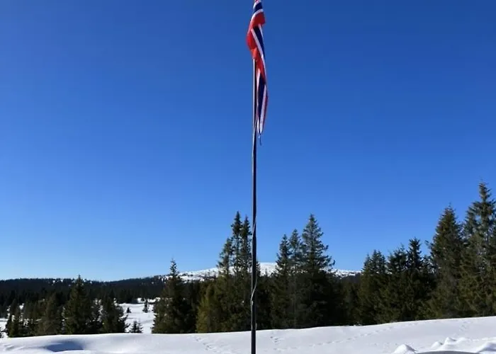 Mountain In * Λιλεχάμερ